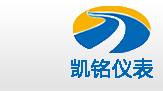 金湖蜜桃视频网站免费儀表有限公司LOGO
